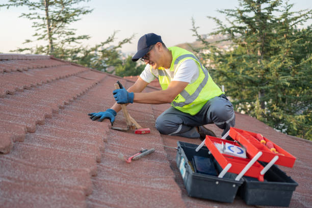 Quick and Trustworthy Emergency Roof Repair Services in Lynwood, IL