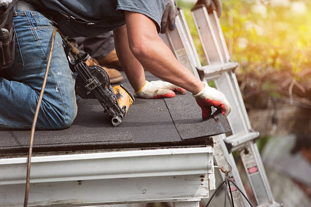 Best Storm Damage Roof Repair  in Lynwood, IL